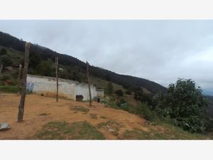 Terreno en Venta en COAXCATLAN Tehuacán