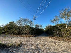 Terrenos en venta a crédito ubicados en Komchén, Yucatán