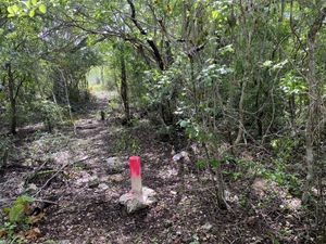 Terreno en venta con financiamiento Paraíso Progreso Yucatán cerca del autódromo