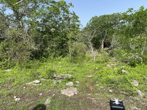 Terreno en venta con financiamiento Paraíso Progreso Yucatán cerca del autódromo