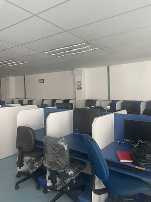 Renta Piso Completo Para Oficinas