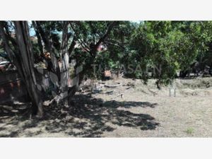 Terreno en Venta en Cuernavaca Centro Cuernavaca