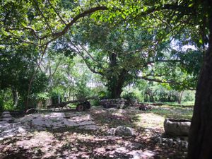 Terreno en Venta en Izamal Izamal