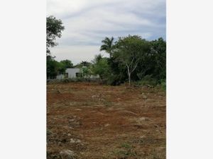 Terreno en Venta en Baca Baca