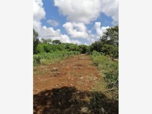 Terreno en Venta en Baca Baca