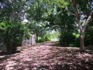 Terreno en Venta en Merida Centro Mérida