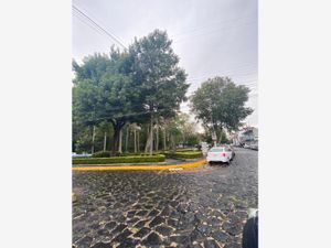 Terreno en Venta en Xalapa Enríquez Centro Xalapa