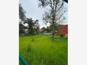 Terreno en Venta en Xalapa Enríquez Centro Xalapa