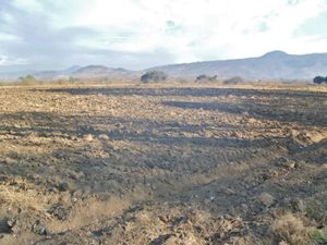 Terreno en Venta en Telchicayac (El Cabellito) Atlatlahucan