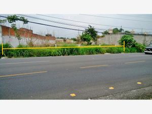 Terreno en Venta en Lazaro Cardenas Cuautla