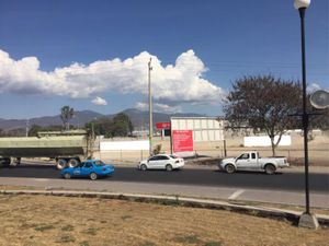 Terreno en Renta en San Lorenzo Teotipilco Tehuacán