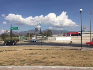 Terreno en Renta en San Lorenzo Teotipilco Tehuacán