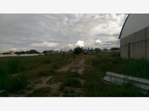 Terreno en Venta en Santa Cecilia Tehuacán