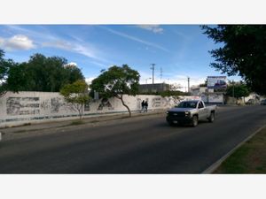 Terreno en Renta en San Nicolas Tetitzintla Tehuacán