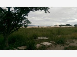 Terreno en Venta en Santa Cecilia Tehuacán