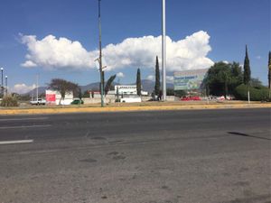 Terreno en Renta en San Lorenzo Teotipilco Tehuacán