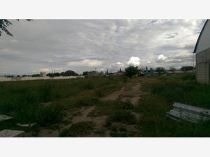 Terreno en Venta en Santa Cecilia Tehuacán