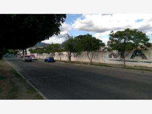 Terreno en Renta en San Nicolas Tetitzintla Tehuacán