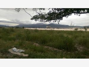 Terreno en Venta en Santa Cecilia Tehuacán