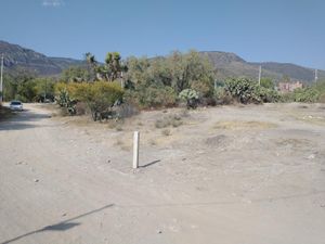 Terreno en Venta en San Juan Tilcuautla San Agustín Tlaxiaca