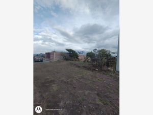 Terreno en Venta en Olmos Tizayuca