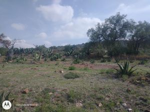 Terreno en Venta en San Antonio Oxtoyucan Zempoala