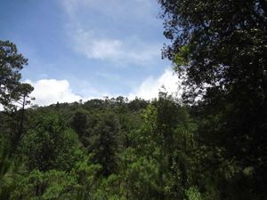 Terreno en Venta en Rio Chico Chignahuapan