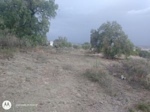 Terreno en Venta en Olmos Tizayuca