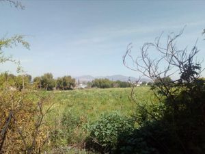 Terreno en Venta en Zozea Alfajayucan