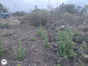 Terreno en Venta en Olmos Tizayuca