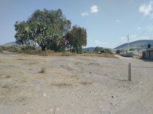 Terreno en Venta en San Juan Tilcuautla San Agustín Tlaxiaca