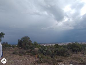 Terreno en Venta en Olmos Tizayuca