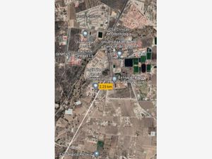 Terreno en Venta en San Juan Tilcuautla San Agustín Tlaxiaca