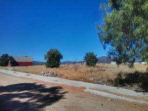 Terreno en Venta en Ampliación el Carmen Tizayuca