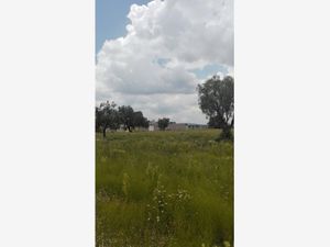 Terreno en Venta en Ampliación el Carmen Tizayuca