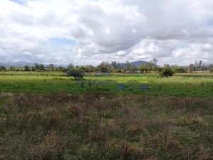 Terreno en Venta en Santiago Etla San Lorenzo Cacaotepec