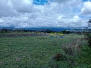 Terreno en Venta en Santiago Etla San Lorenzo Cacaotepec