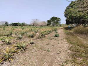 Terreno en Venta en Nuevo Medellín Medellín de Bravo