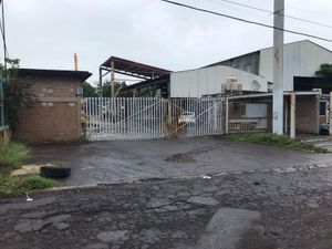 Terreno en Venta en Bruno Pagliai Veracruz