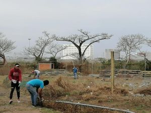 Terreno en Venta en Costa Sol Veracruz