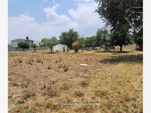 Terreno en Venta en San Felipe Hidalgo Nanacamilpa de Mariano Arista