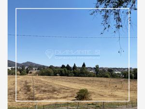 Terreno en Venta en Ferrocarrilera Apizaco