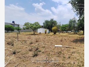 Terreno en Venta en San Felipe Hidalgo Nanacamilpa de Mariano Arista