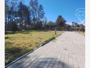 Terreno en Venta en Ocotlan Tlaxcala