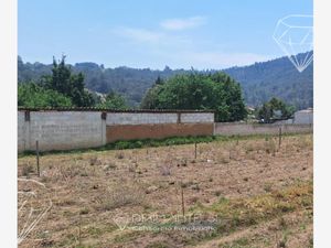 Terreno en Venta en San Felipe Hidalgo Nanacamilpa de Mariano Arista