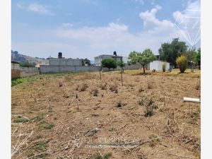 Terreno en Venta en San Felipe Hidalgo Nanacamilpa de Mariano Arista