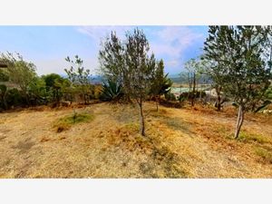 Terreno en Venta en Presa Escondida Tepeji del Río de Ocampo