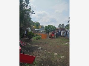 Terreno en Venta en Lomas de Cortes Cuernavaca