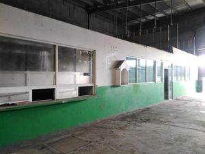 Bodega en Renta en Flores del Valle Veracruz