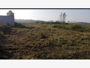 Terreno en Venta en Anton Lizardo Alvarado